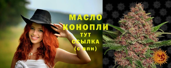 дживик Балахна