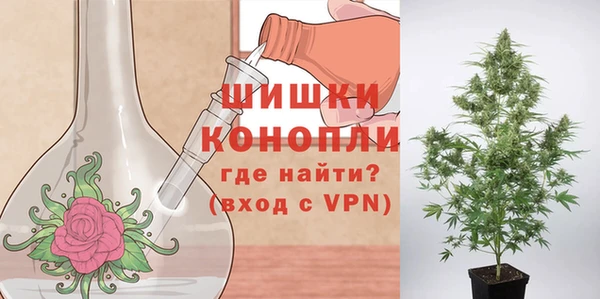 дживик Балахна