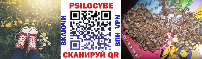 Псилоцибиновые грибы Magic Shrooms даркнет сайт KRAKEN как войти Новое Девяткино