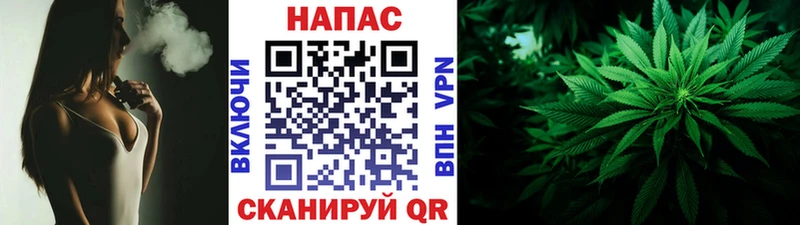 МАРИХУАНА Amnesia сколько стоит Новое Девяткино